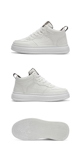 [HJBJBD] Xb| Xj[J[ Y JWAV[Y l EH[LOV[Y ʋC L y ~ X|[cV[Y lC    ^C _炩 ₷ WjA ʊw ʋ s 풅p 3FWJ (zC