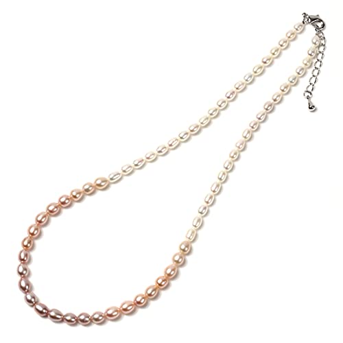 PLUSTER CXp[ lbNX ^ zCg sN Wp[ ێp[   fB[X [p|[`t] a v[g ̓ WG[ vX^[ ΏۃWG[