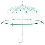 Kung Fu Smith Auto Open Cherry Blossom Umbrella, Clear See Through Kids Bubble Umbrella for Boys, Green