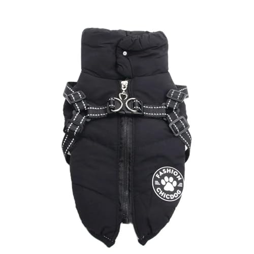 ~gybgWPbghhLR[gWbp[n[lXtv[hČr[O,,2XL