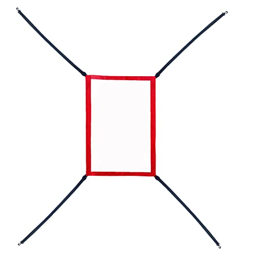 Baseball/Softball Target for Pitching and Hitting Practice