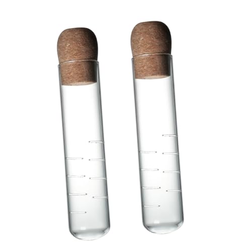 ULTECHNOVO Colador De Té Tubo 2piezas Infusor De Té De Vidrio Colador De Malla Fina Fácil De Limpiar Para Uso Doméstico y Restaurantes