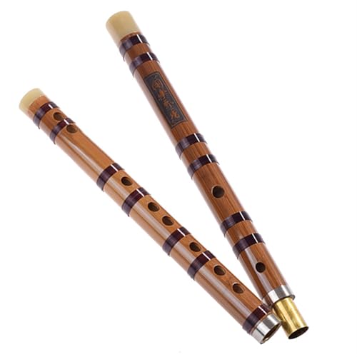 |JZbg r^[ou[ iCŌ΂ꂽ 2 ̃ZNṼt[g Ǌy(D Key)