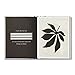 Mom, More Than You Know: A Keepsake Fill-In Gift Book to Show Your Appreciation for Mom