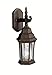 Kichler 9788TZ One Light Outdoor Wall Mount