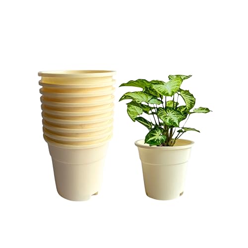 Image of Indian Gardens - 4 inch Indoor (Pack of 10) Plastic Small Colour pots | Plastic Plant Pot for Terrace Garden (Ivory)