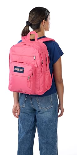 JanSport Mochila para laptop – bolsa para computador com 2 compartimentos, alças ergonômicas, capa p