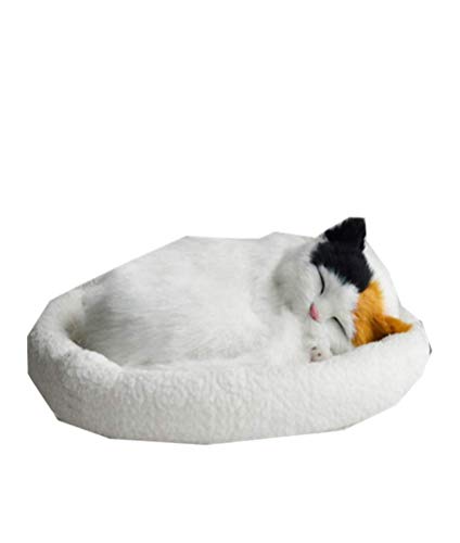 [P[]ʂ  G  ͌^ l` ċzUL tt v[g Aj[V L  u  q (#02)