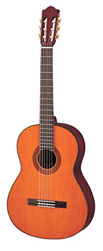 Yamaha ERG121GPIIBL Paquete de Guitarra Eléctrica, negro - Mejores  artículos y Ofertas