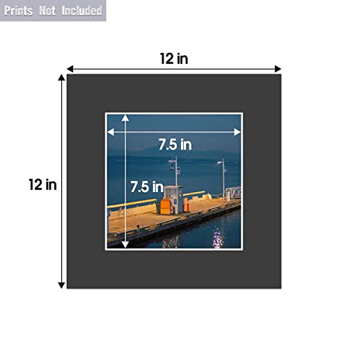 Golden State Art, Pack Of 25, 12X12 Black Picture Mats Mattes With White Core Bevel Cut For 8X8 Photo #TOP1