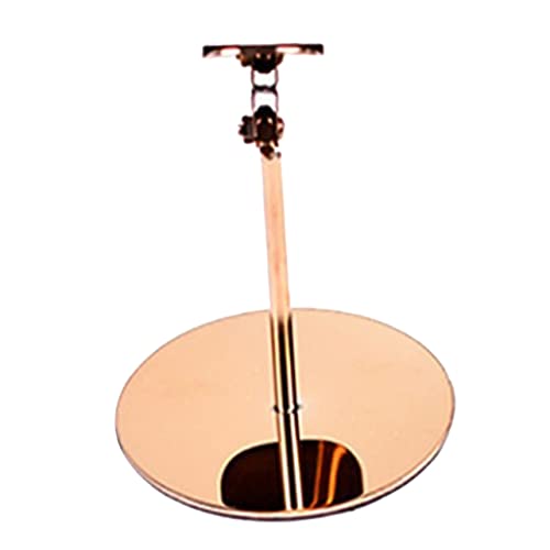 Alipis Modern Shoe Rack Stainless Steel Entryway High Heel Display Storage Shelf