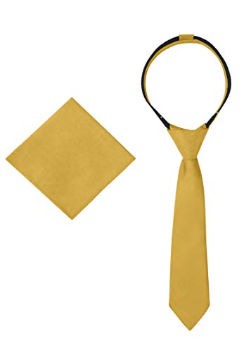 Ties For Boys - Necktie & Pocket Square - Pre-Tied Woven Kids Zipper Tie, School Uniforms Wedding (14 in, Gold)