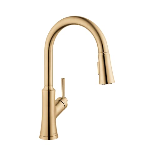 hansgrohe Joleena Kitchen Faucet, Brushed Bronze 04793140 by hansgrohe - Used condition