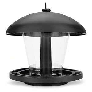 I Vogelfutterspender zum Aufhängen – Schwarz, Vogelfutterstation für Wildvögel I Vogel Futterstation, Futterspender Vögel, Vogelfutterhaus, Vogelfutter, Bird Feeder