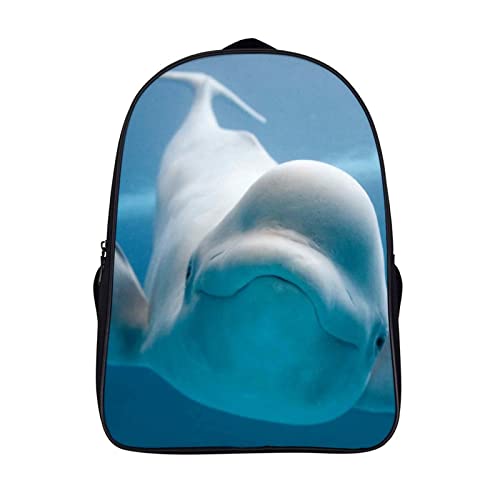 Sac à dos de voyage Beluga ergonomique pour éviter le mal de dos