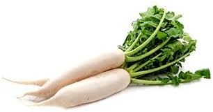 Native Organic Seeds - Radish White - 5 gm