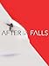 After the Sky Falls