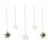 Newwe 5 Stars Kit Hanging Air Plant Holder Wall Gold Airplant Rack with Chains Home Wall Decor Boho Room Decoration Christmas Ornaments