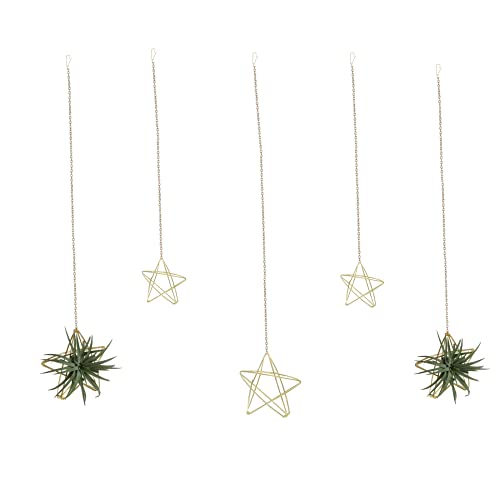 Newwe 5 Stars Kit Hanging Air Plant Holder Wall Gold