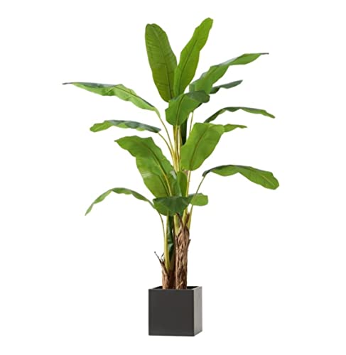 lHϗtA lH lHΐAV̖ؑIIoR̖ 17 ttFCNMєAA tFCNA  lH (Color : A, Size : 170CM)