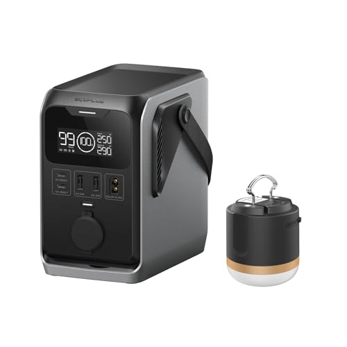 ECOFLOW TRAIL 300 DC Tragbare Powerstation 288 Wh mit Campinglampe, Ultraleichte LFP-Batterie, 300 W Solargenerator, Schnellladung, 5 Ausgänge, Solar/Kfz-Eingang, für Camping, Reisen, Notfälle