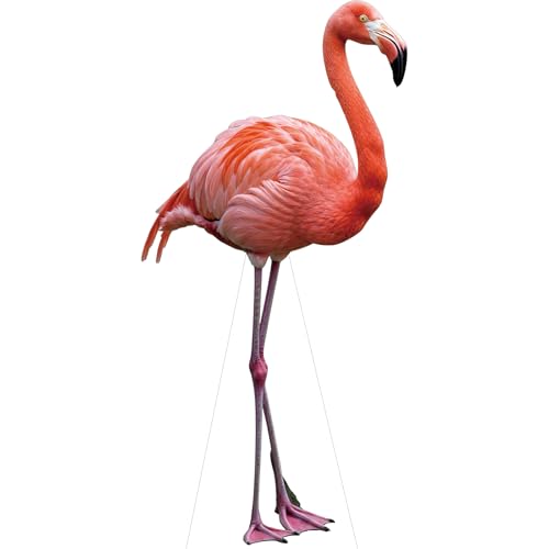 Image of Flamingo 1FT Life Size Cardboard Cutout Standup for Party, 1 PC | Flamingo Cardboard Cutout for Party Decor, Birthday Events, Photo Props, Home Decor, Carnival & Holiday Themes