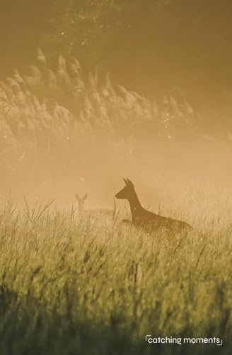 Image of Notebook / Diary / Journal "Deer" Paperback 100 pages lined by catching moments