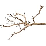 Koyal Wholesale California Driftwood with Natural Brown Branches, 36-Inch Large...