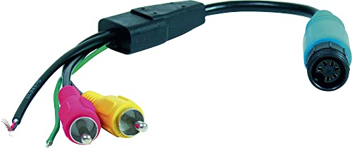Caratec Adaptateur Moniteur, Accouplement à vis de 6 Broches à connecteur Cinch, Noir, pour Les caméras de recul et moniteurs de Caratec Safety