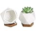 Modern Geometric White Ceramic Mini Succulent Planter Pots with Removable Bamboo Saucer, Set of 2