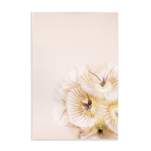 Floral Anther Close Up, 10 x 15 Inch Mounted Print on Wall Plaque