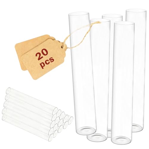 Spetsbst 20 Stück Reagenzgläser, 120x20 mm Glasröhrchen Transparent Reagenzglas mit