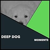 Doggy Calm Soundtrack