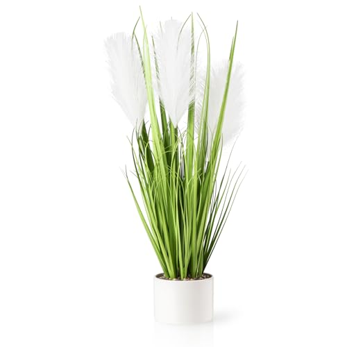 Kunstpflanze Gras  Die 15 besten Produkte im Vergleich - kita.de Ratgeber