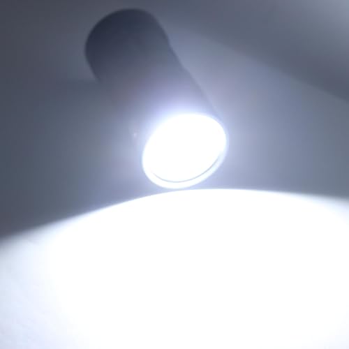 Luces de video de buceo de 1.5 m para explorar arrecifes 3