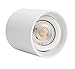 JUSTWEIXING Dimmable 7W 10W 15W 20W AC85-265V Surface montée LED Downlight Angle Rotation 2700K 3000K 4000K Home Lighting Lighting (Body Color : White, Emitting Color : 3000k)