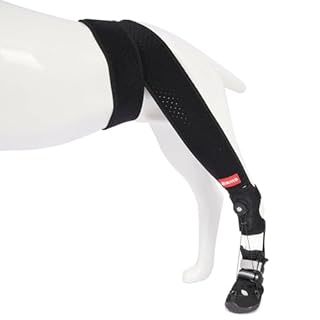 BUVUB Dog Canine Knuckling Brace Rear Leg Boot with Adjustable Dial for Toe Dragging Cause by Sciatic Nerve Insufficiency, Myelopathy, Herniated Disc (Small, Size 2)