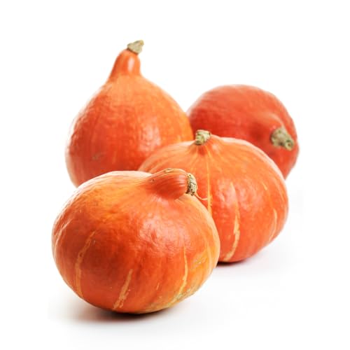 Hokkaido Kürbis | Frischer Hokkaido-Kürbis - Sorte Hokkaido (2 KG)