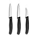 Victorinox Swiss Classic 3-Piece Paring Set - 6.7600.3US1