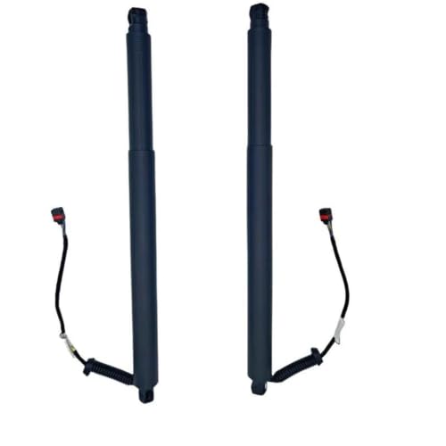 Hayon électrique 81770C5100 support levage Sorento