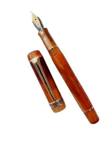 Stylo-plume acrylique pour l'écriture fluide au bureau et notes d'affaires