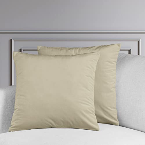 Image of HPD Half Price Drapes Cushion Cover 18 x 18 Heritage Plush Velvet - VPYC-198602-CC18PR - Pair, Macchiato Beige