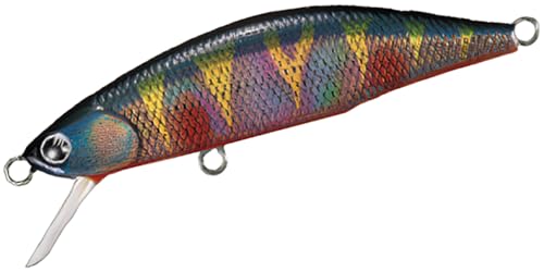 ジャクソン(Jackson) メテオーラ(METEORA) 52 ブラックパーチ