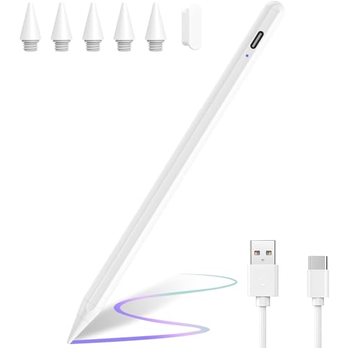 BQSS Penna per iPad (2018-2024)