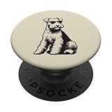 lakeland terrier eleveur quebec No es compatible con la carga inalámbrica.