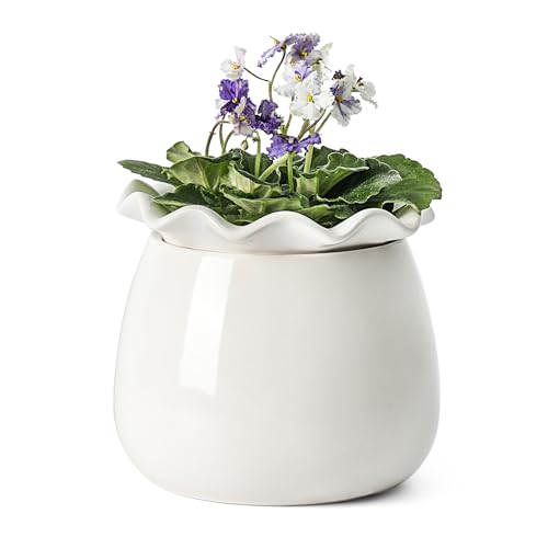 Fayoula Self Watering Plant Pot, 6 Inch African Violet Pots