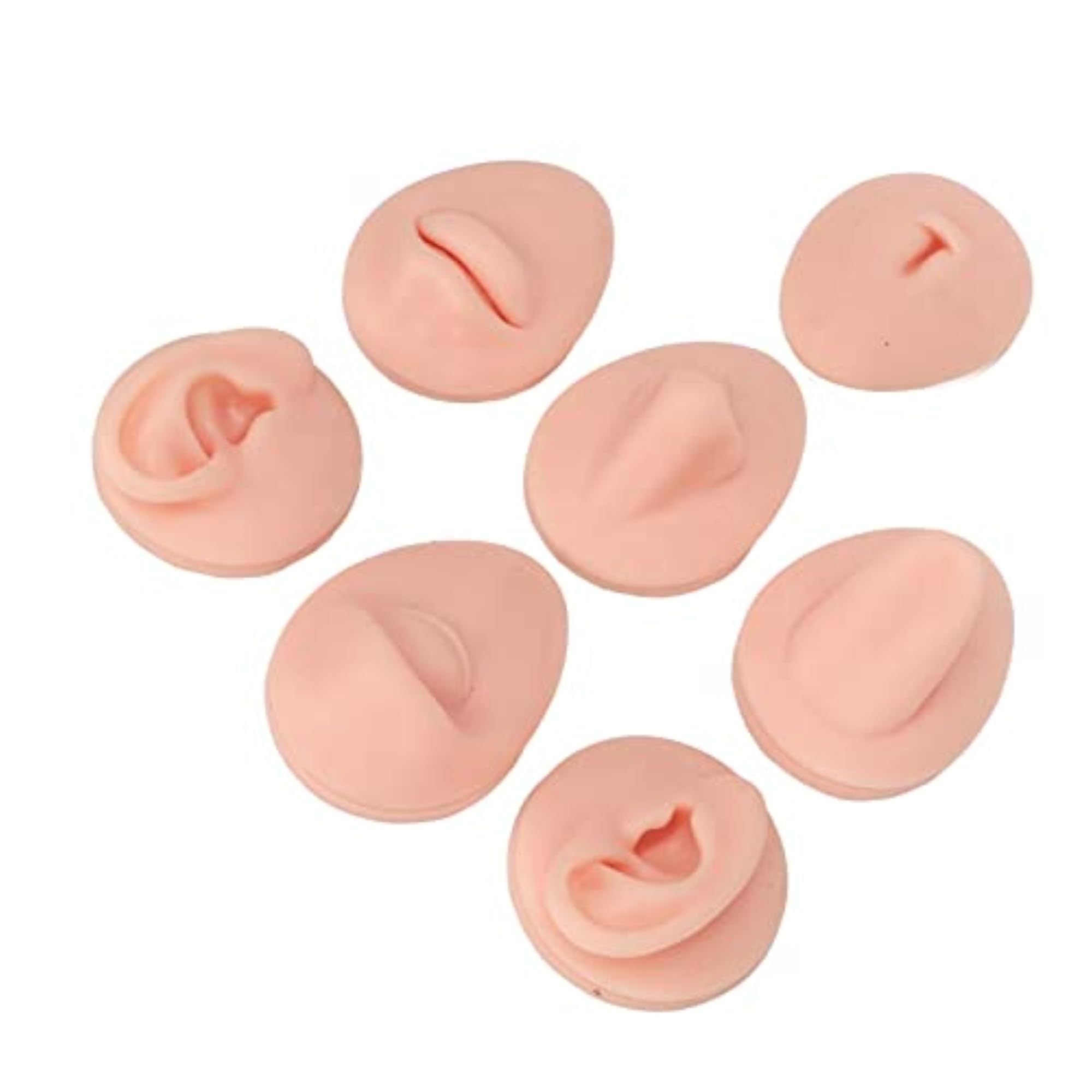 Body Piercing Practice Model, 3D Ear Simulation