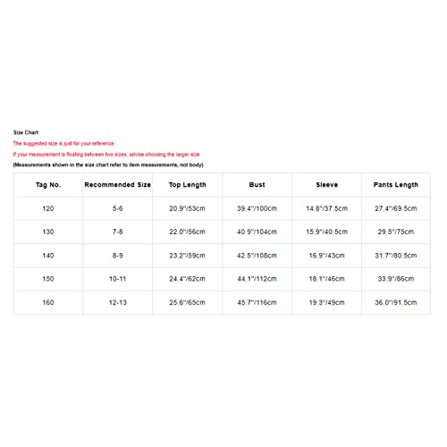 Dpois Boys Tracksuit 2 Pieces Sport Outfit Hoodie Sweatshirt And Sweatpants Jogging Pants Set Activewear Gray 8-9 Years #TOP6