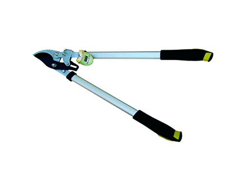 Kippen 6071 A – Schnitt Baumschere Bypass