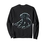 Sei proprietario di un cane? Ami i labrador? Questo simpatico cucciolo di labrador nero è per gli amanti dei cani e i proprietari di labrador.